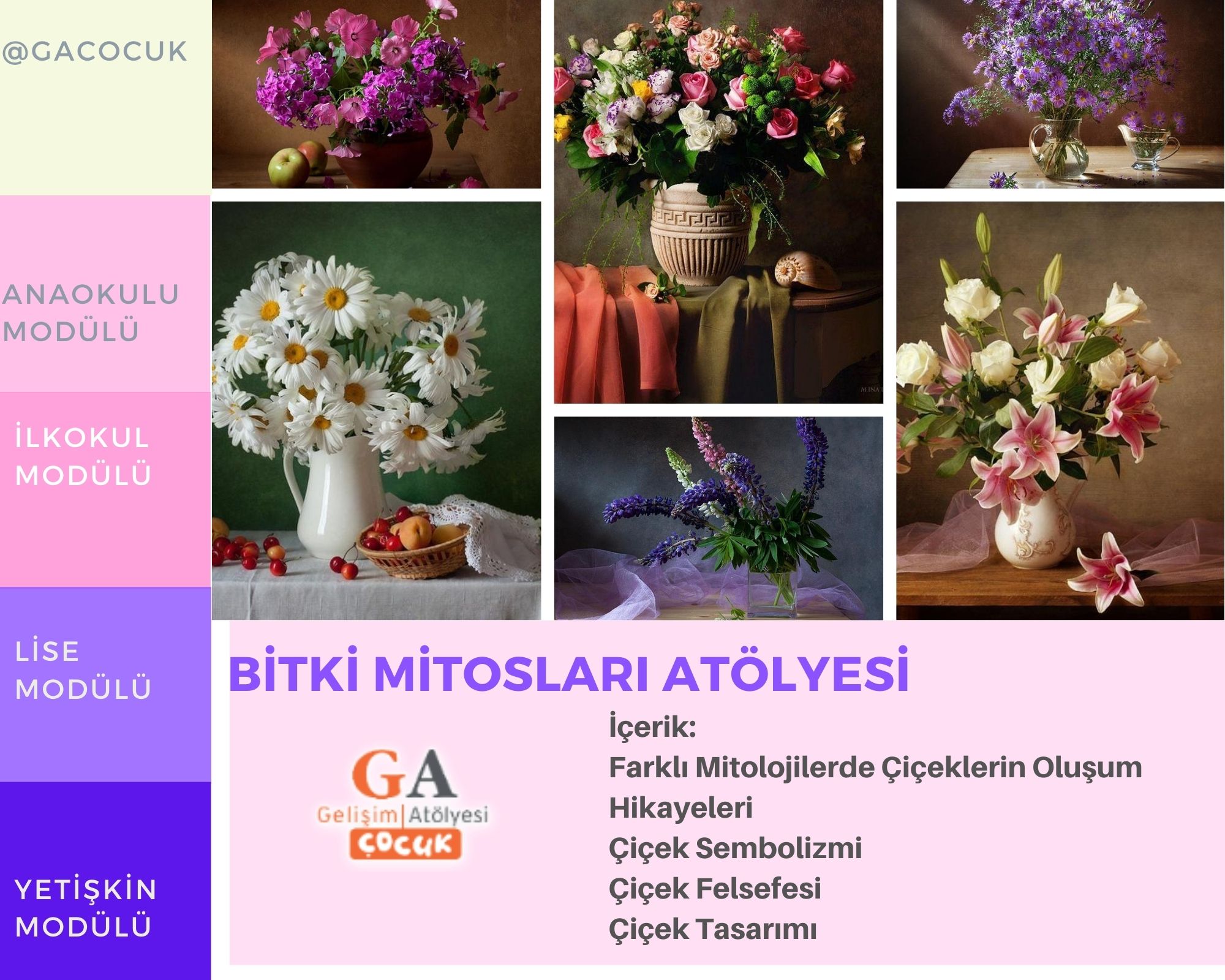 Bitki Mitosları Atölyeleri 
